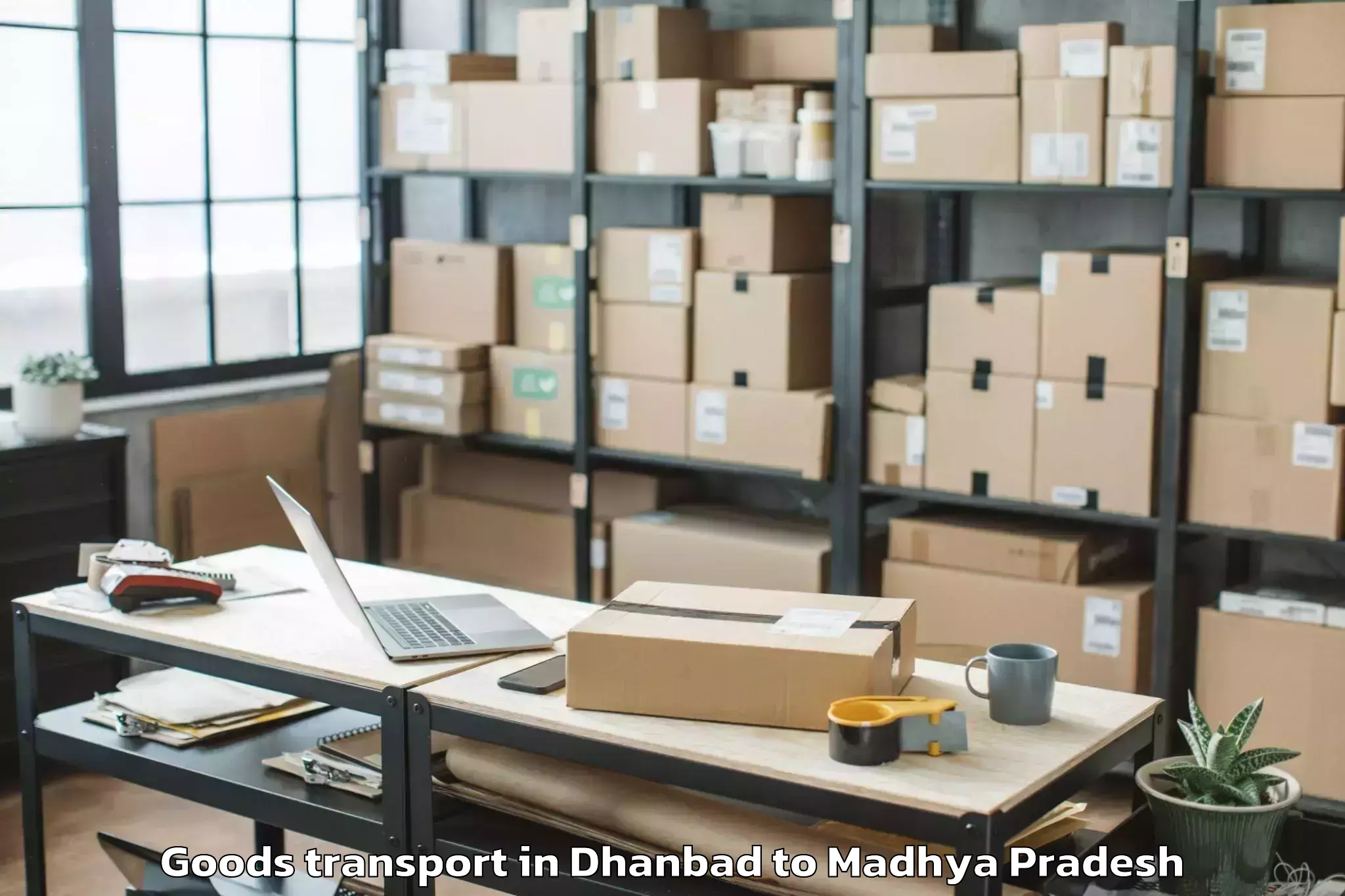 Discover Dhanbad to Narwar Goods Transport